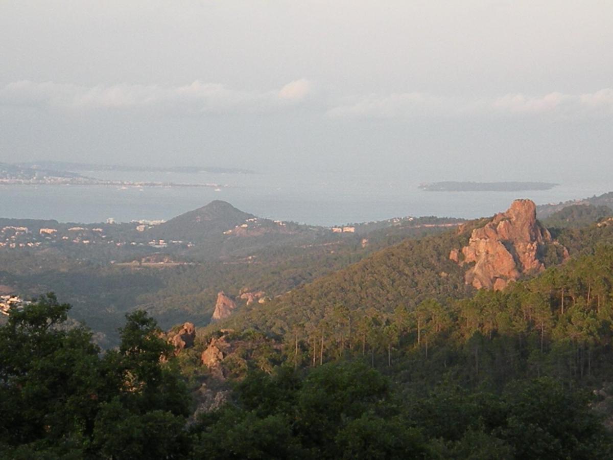 Affittacamere Chambre Luxueuse Avec Immense Piscine Vue Sur La Baie De Cannes Et L Esterel Avec Possibilite De Cabine 3 Personnes Fréjus